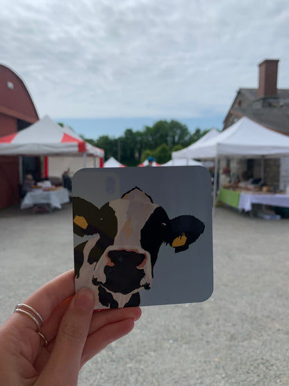 Cow coaster